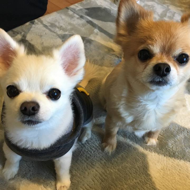 1229ec71 933f 4454 8083 03d3363b7af0