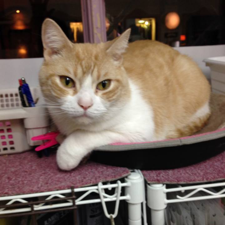 122a5b2e d2c7 41bb 9b5d 68e29014e0f5