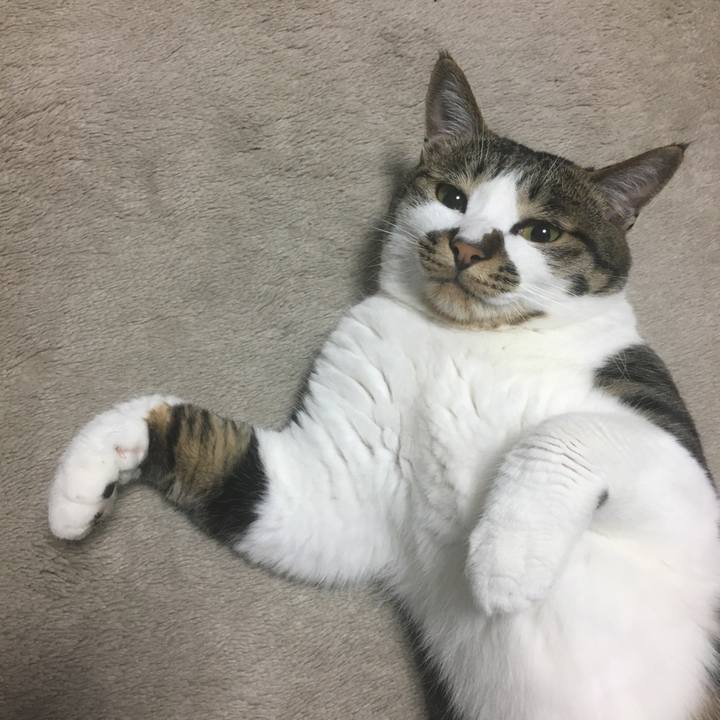 122a7298 13d9 4cbb a8d9 5d87f68021a1