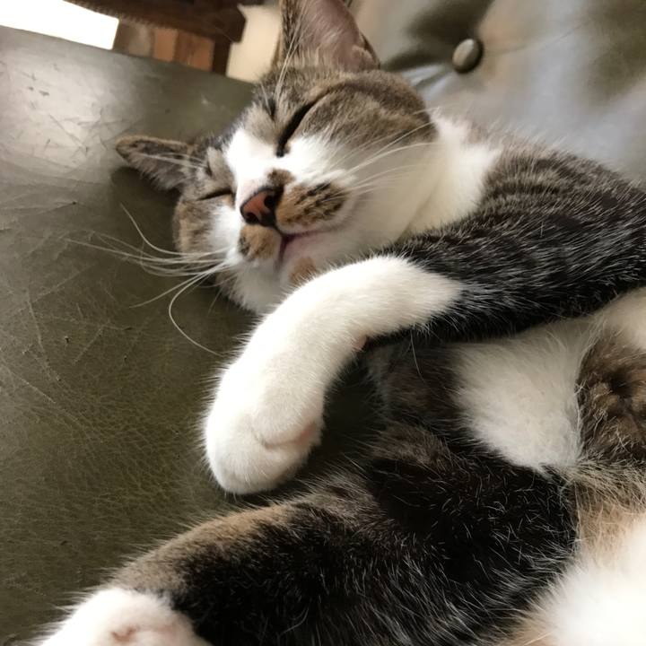 122aa000 d23d 4ecd 9c37 0d265c16366e