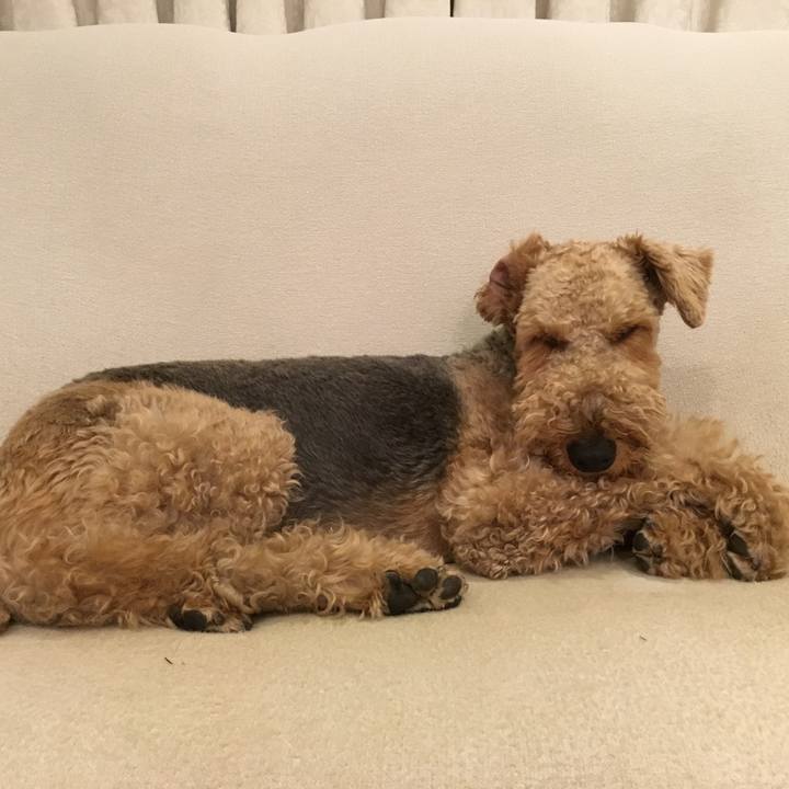 122b04ca 7e80 4e6e b224 72462f63d039