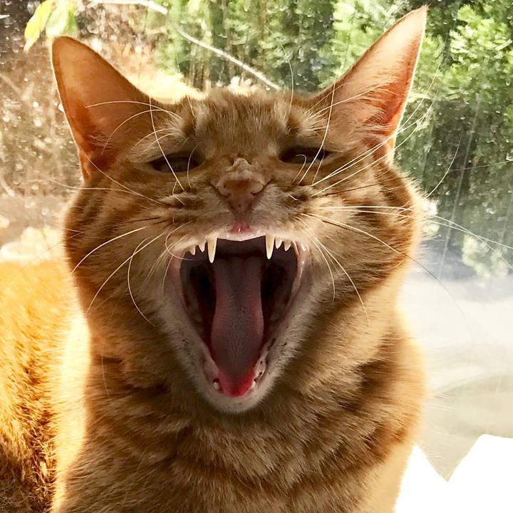 122b5441 fc9f 4e67 9a43 c0a37874059c