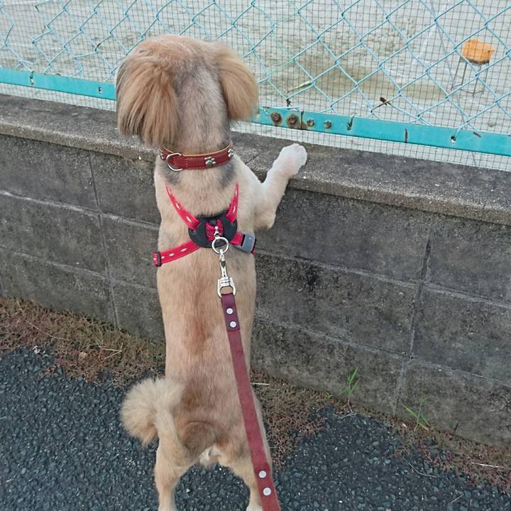 122b550c 7333 4e10 8f88 d31f4feef305