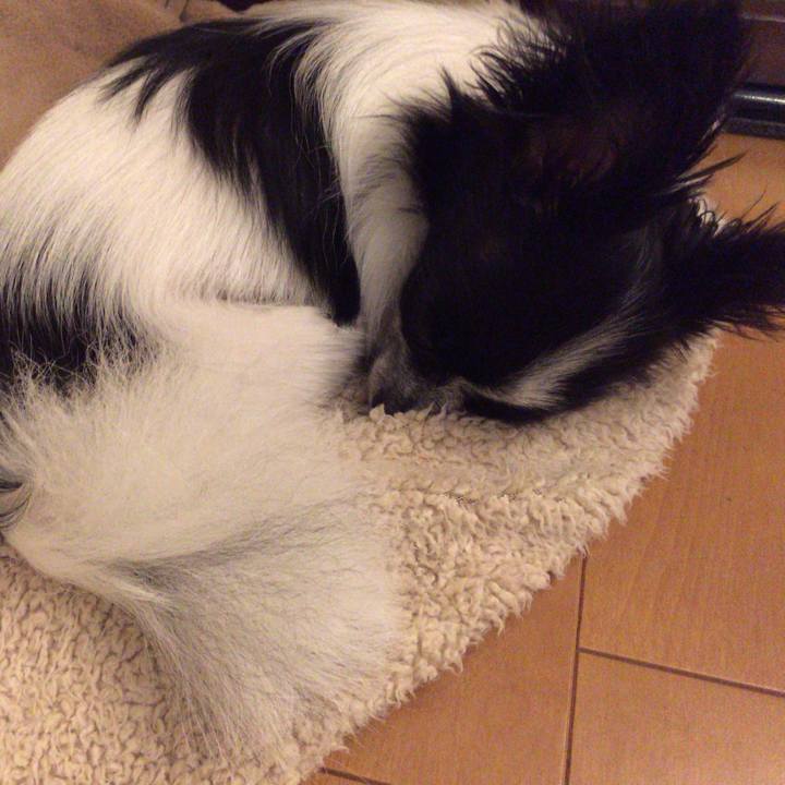 122be5e1 8791 4d8b ad47 17b251c732f6