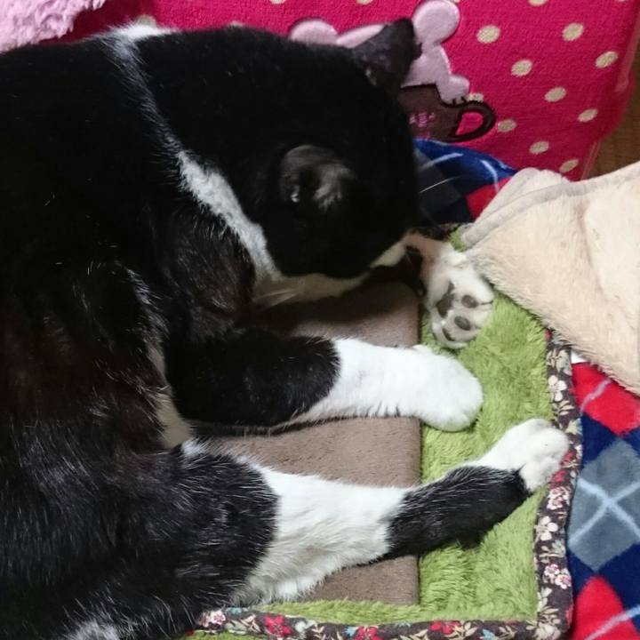 122c5bcb 1769 4a98 986b 602066de5406