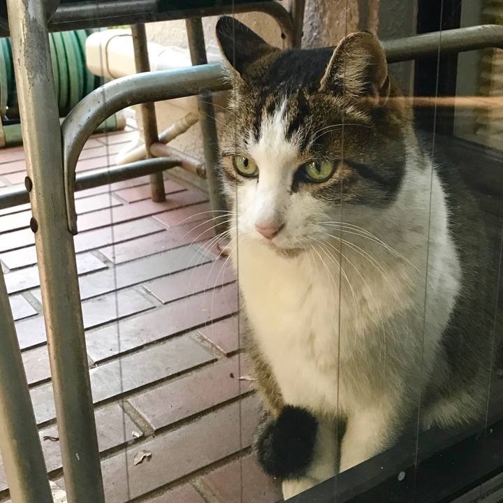 122cb42d 4858 466e 8a19 086fe26bb5a0