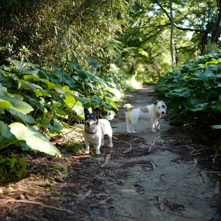 122cf279 cf68 4ce2 9759 5a85dfe91b78