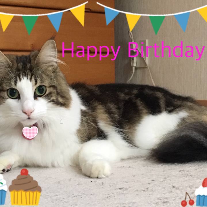 122d07e0 ac64 4648 a9ee 6142a5ff481e