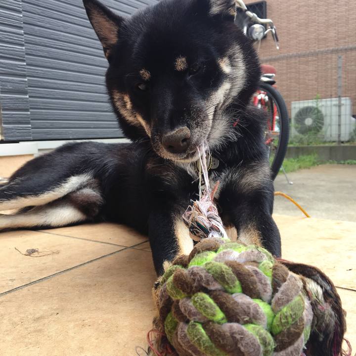 122e73cf e85b 4141 a944 a99f9bc83a9d