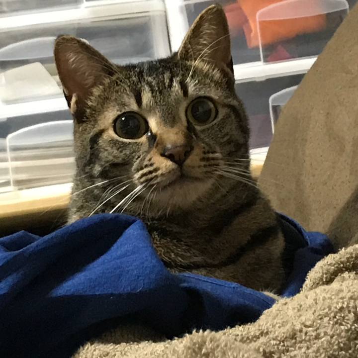 122e9389 030c 42af 8116 aca0797789d1