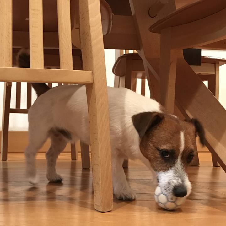 122f08bc c9c9 4ded 8a3b 63b649c679ab