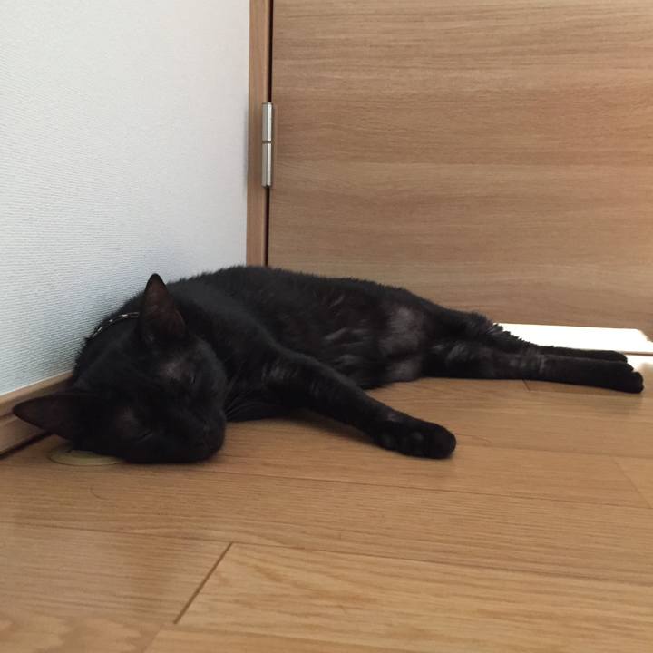 122f551a b173 4b1c 8067 206eced823cc