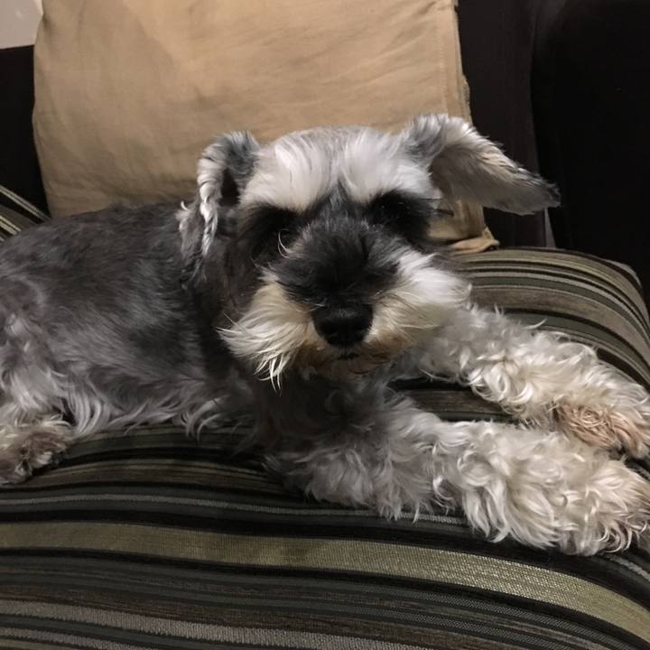 122f8f37 87e0 4fcf bd95 3f36f4320621