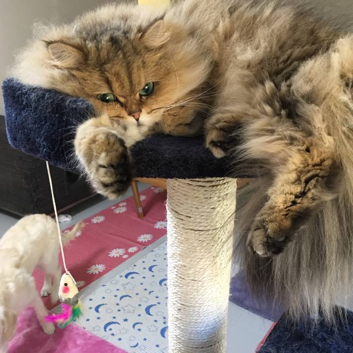 122feb76 933d 42e1 82ee cf578786809a