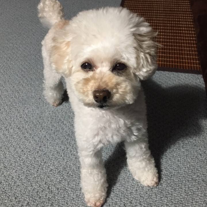 12301559 901b 4f82 a977 bb8293d3f472