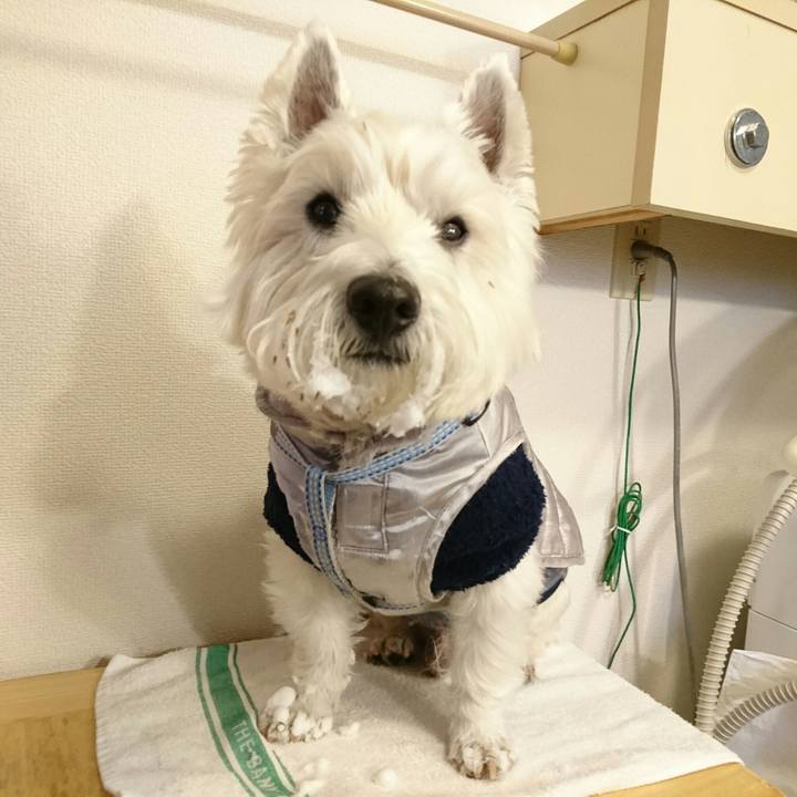 1230f828 5540 4b1c 9024 a0adf70b5bb0