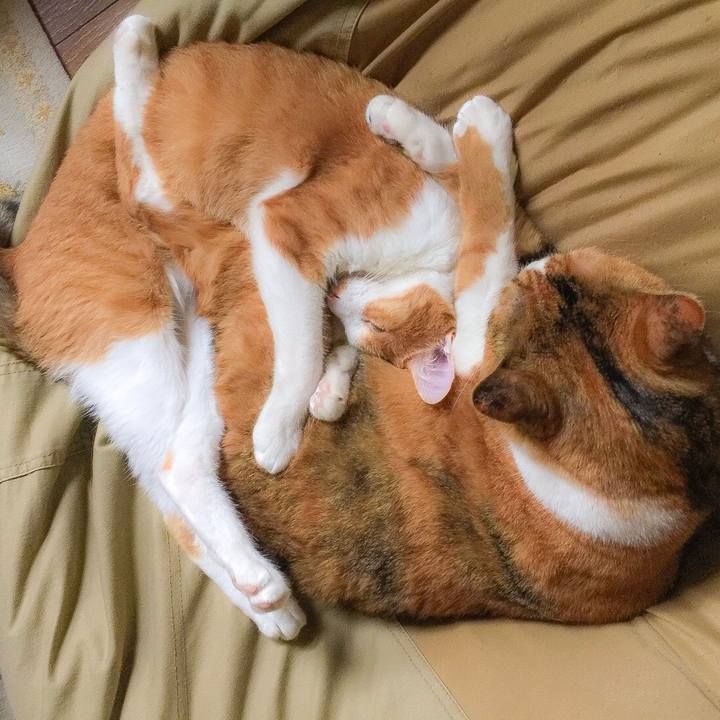 1230fc90 7df6 448f b853 ddeda2a993f3