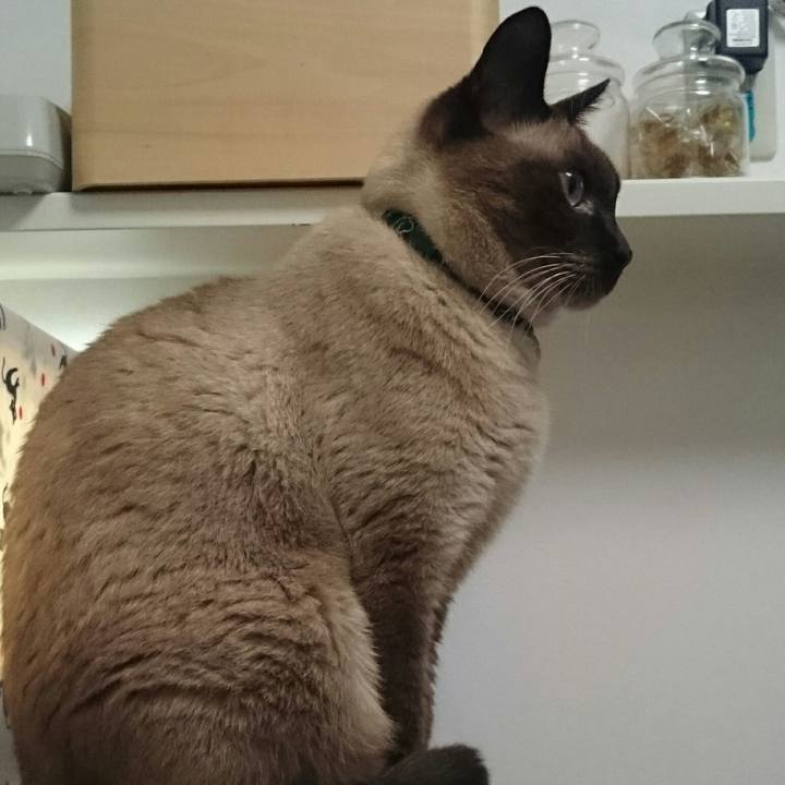 12311d60 af19 4e51 b18f eb93ed3dedbc