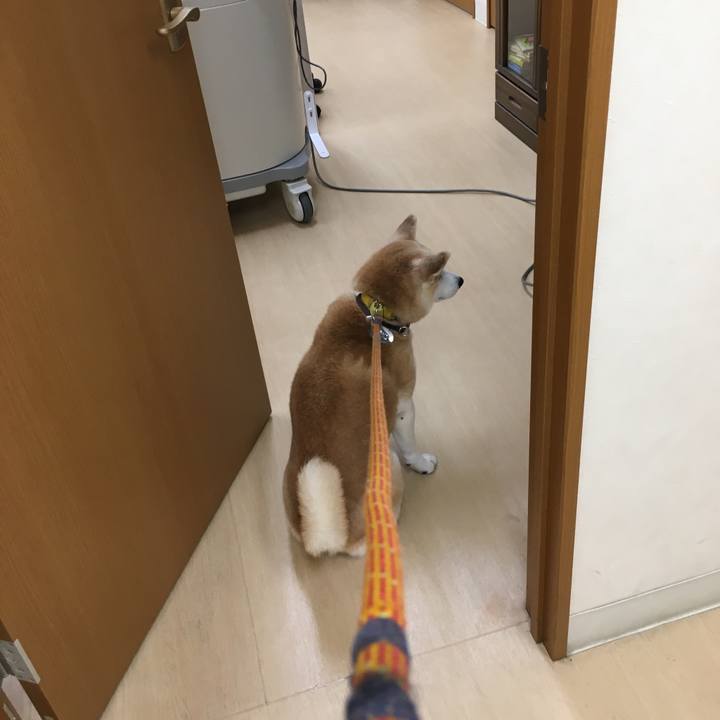 1231289f 1e63 49dd b816 8d635b5dfa18