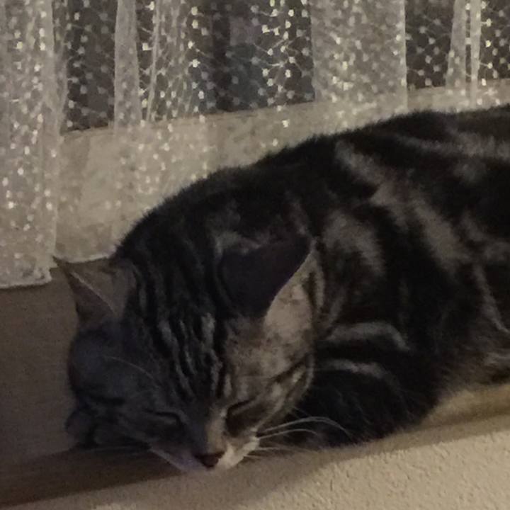 1231cac3 eb92 4792 b419 88337b5b8c4f