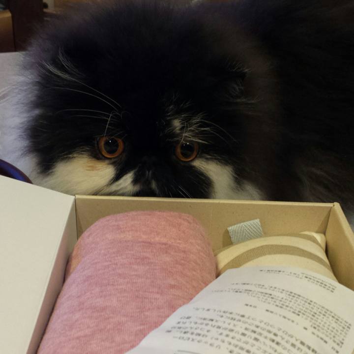 12326e18 8877 4ee8 b13f 931dc9c8e66b