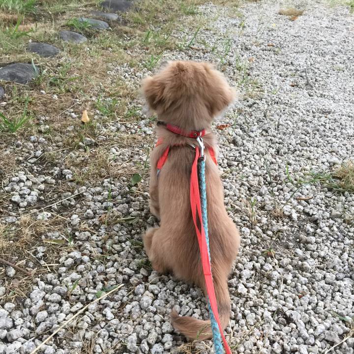 1232d79b 4420 41f7 be73 fb691f33f1fd