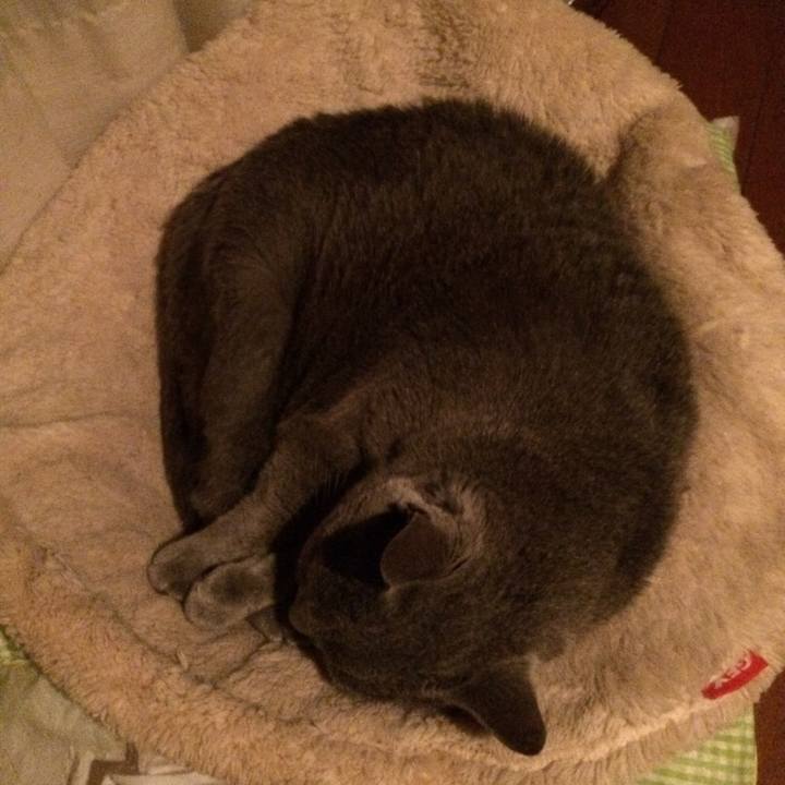 1233b4fe 35f0 43a3 bfee 6bbaf28461d0