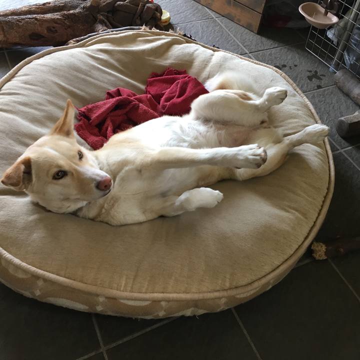 1233dbe7 65d2 420d a776 a675e9f757b5