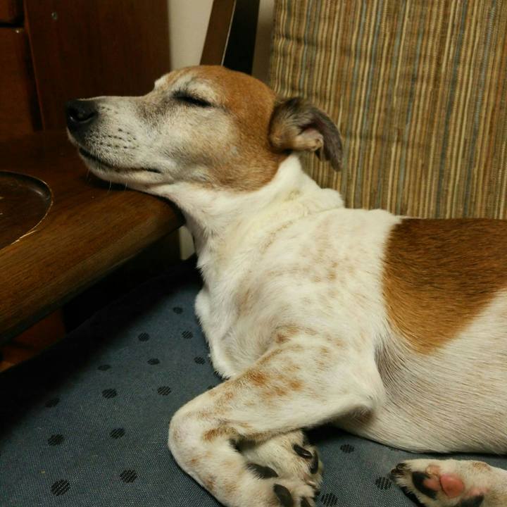 1233de3d 2573 46b0 b5fe 8e0c71d6d1cc