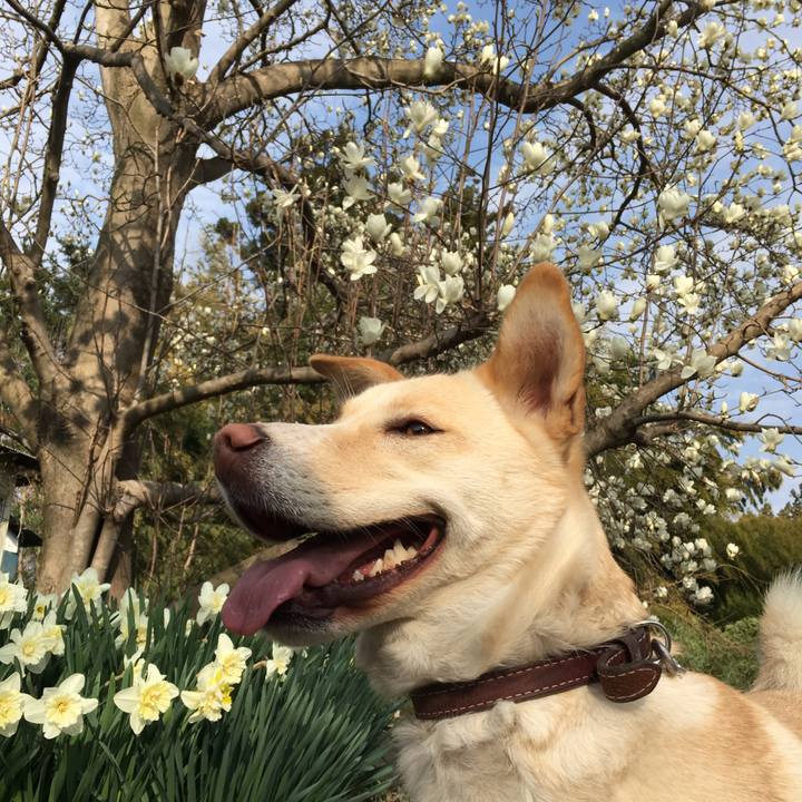 12354da2 0561 46d2 9194 dc1cf1422639