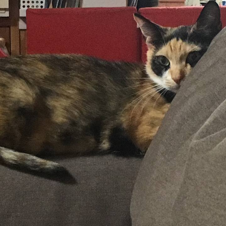 123559d2 06e5 4f30 86cd a7e35941be16