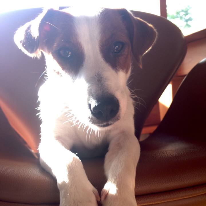 123627b1 c5f5 4c46 ae85 1b16d4772a73