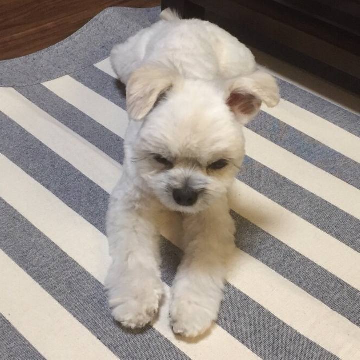 1236caf4 a3c2 4328 910b 520f7a4899f5