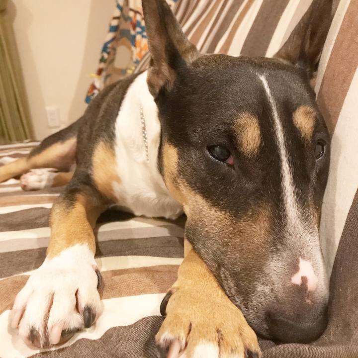 1237126b 8766 4f88 9acb d5bf818ddf78