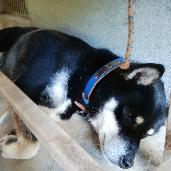 1237b32f 6801 46aa a5f0 a0ac460ac399