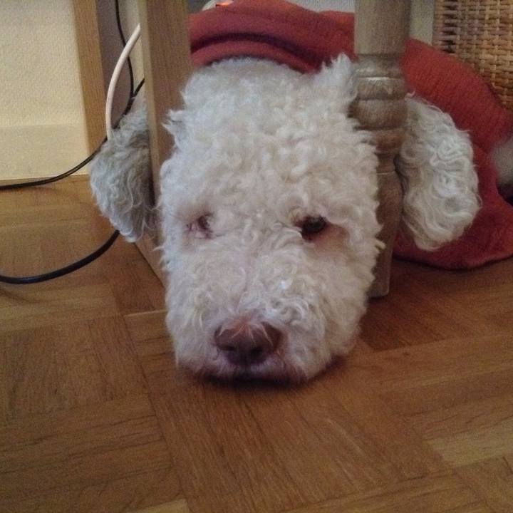 1237fd14 01e5 4742 a752 c947d1820939