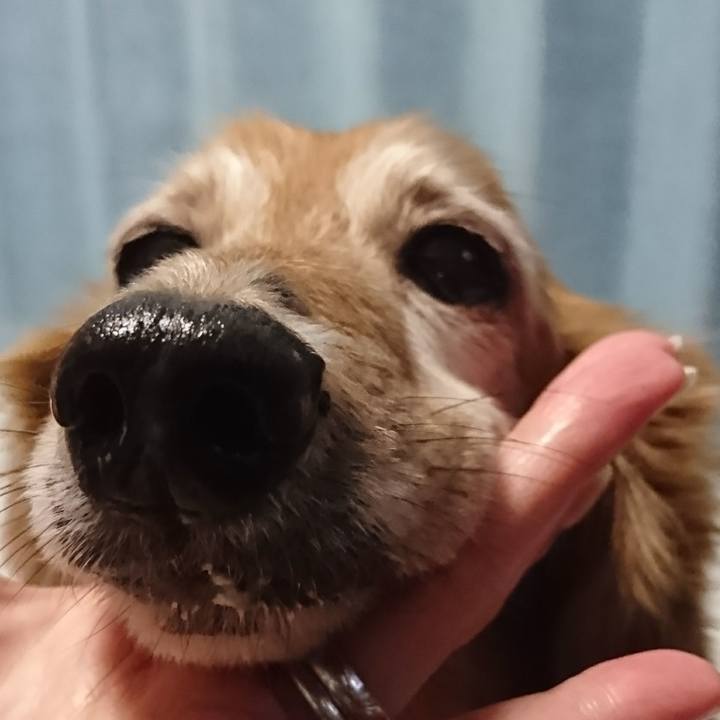 12380918 3d26 4a1a a728 80054aa454b9