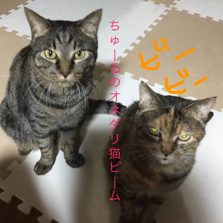 1238201a d7d5 4f80 ab8a 2db9529a07b9