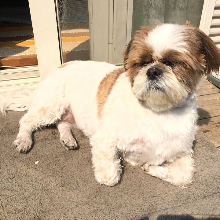 12388d7d 3e71 422f b929 b5979ea799d0