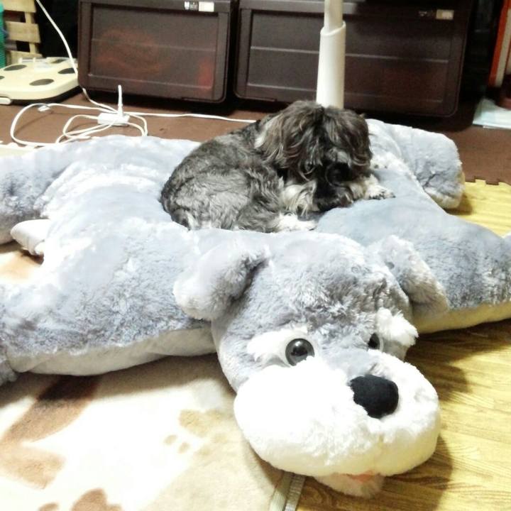 12389e8e 9963 48ac 966b 0551e85b9b27