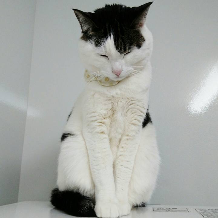 1238cc09 10ab 4a18 93a4 655b2b0c3845