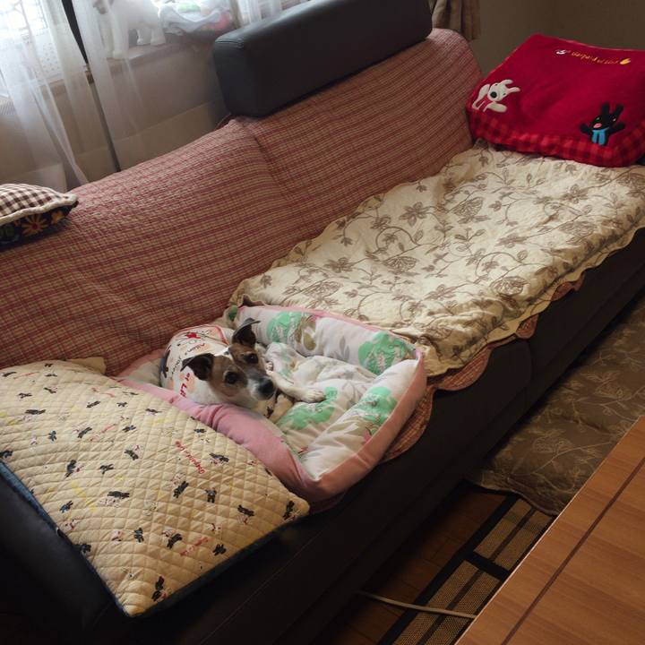 1239618e c1a6 48f9 bef0 a357d82c4374