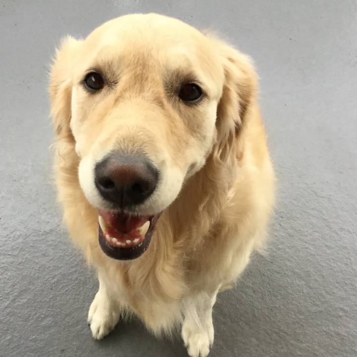 1239a8bc ec0d 431e 9d06 848bb7c78203