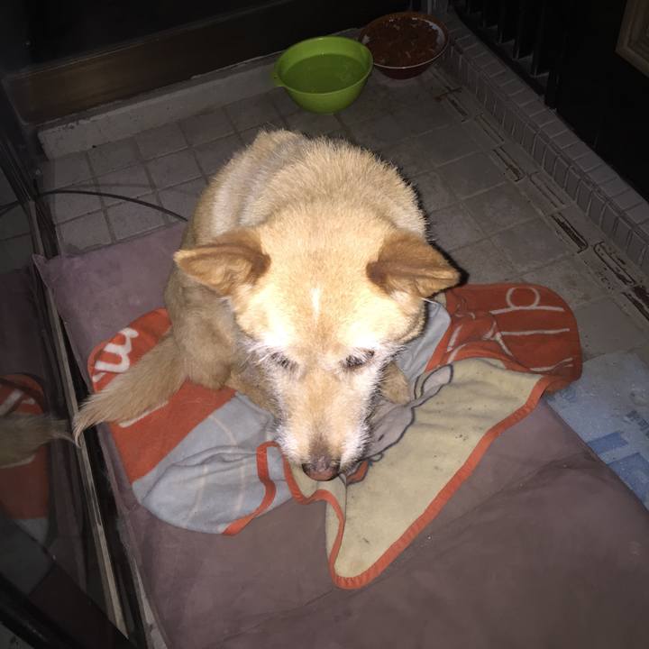 1239cb60 64a7 4333 8a77 f659fb4eb33e