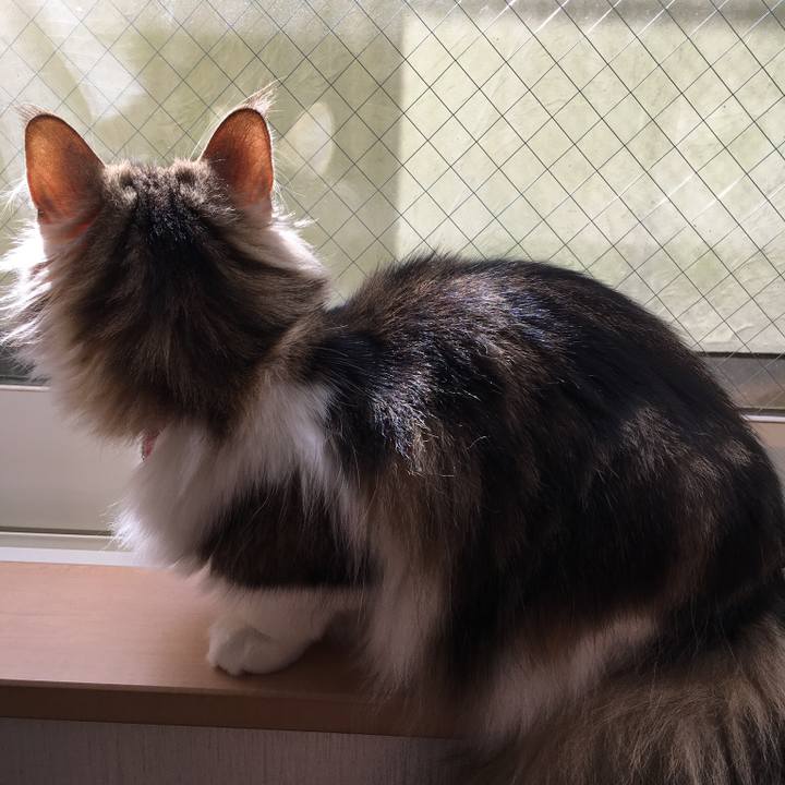 123b0db9 b2f3 4a04 a3bb 55799656bba4