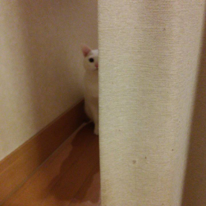 123babb9 ab1e 4520 b59e e4b2fb21db81