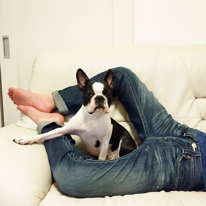 123c1b34 9019 4b91 8cfa 48c21da269e3