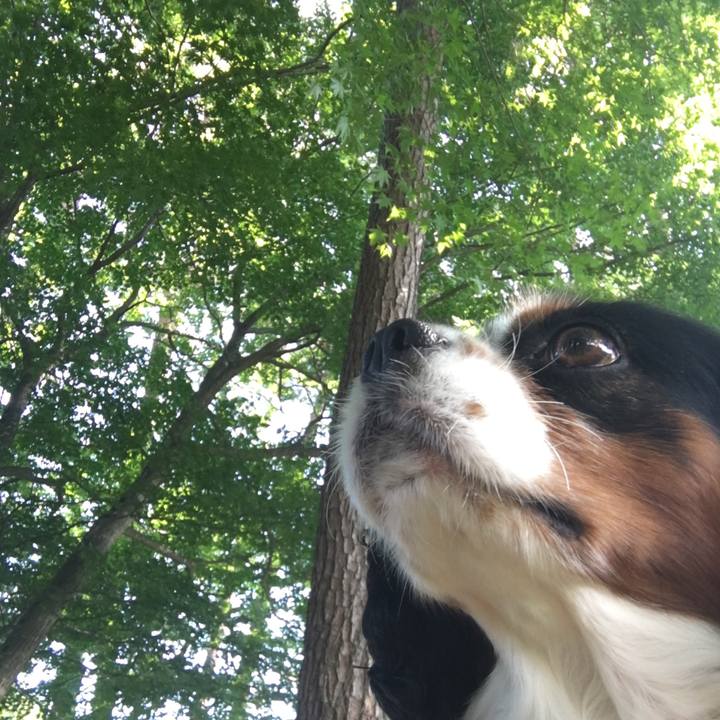 123c29e9 902a 4a9b a58f 8114370a50cb