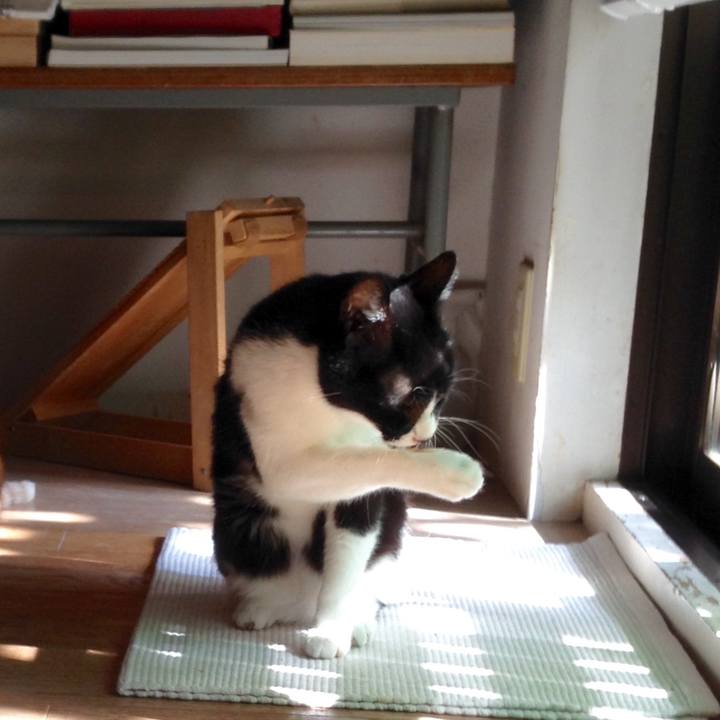 123c3457 ea30 4f31 9aa8 82c2c12fefc2