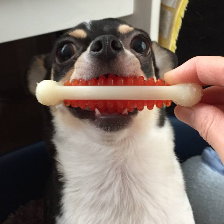 123c6e2f 2b92 47f1 b3d6 f5d45ab6b036